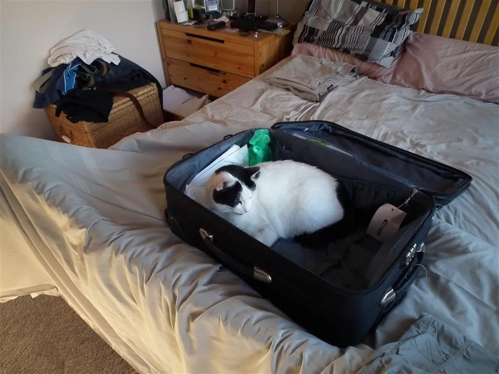 A dont leave me says marshall 2